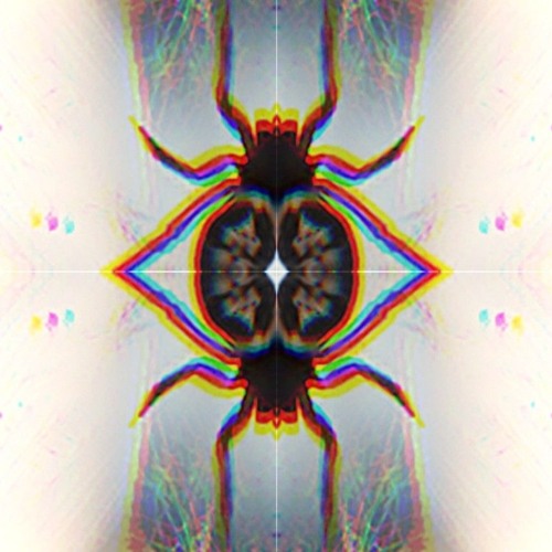 INTO THE VOID