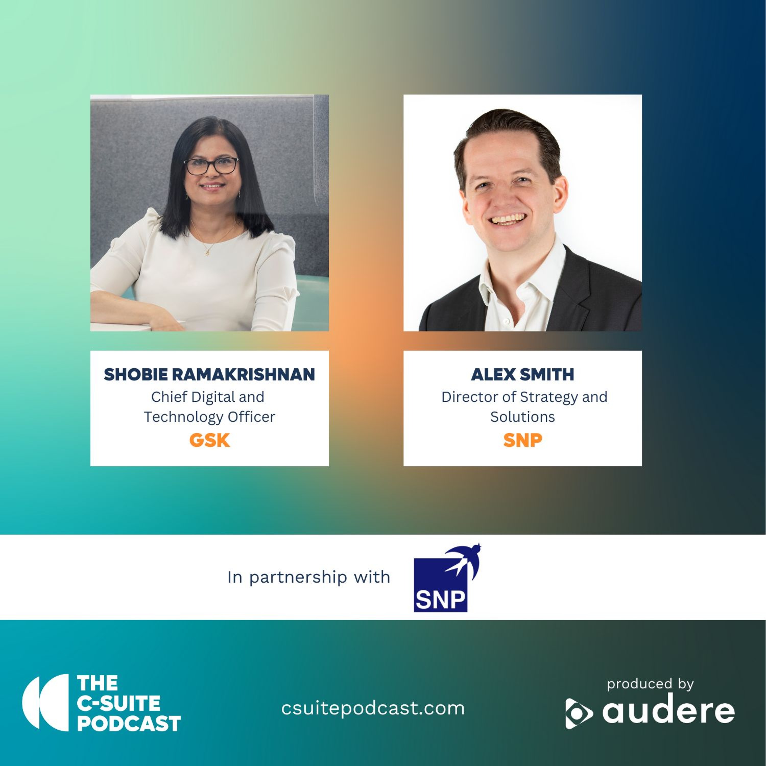 Show 192 - Data-Driven Decisions: The Business Advantage episode artwork