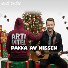 Arti Intel - Pakka av Nissen