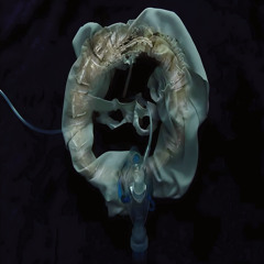 (° ˃̣̣̥⌓˂̣̣̥ ) ಥ_ಥ November  (° ˃̣̣̥⌓˂̣̣̥ )