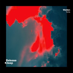 Walden - Yoris