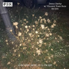 Demo Derby on Frozen Section Radio 0213223 w/ Vincent Yuen Ruiz