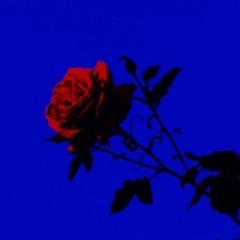 Life Without You ( prod.byBrian_Mance )