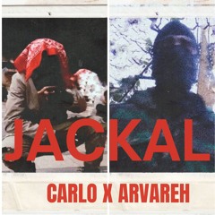 JACKAL - ARVREH X CARLO