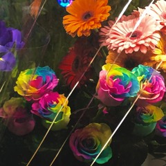5.21.21 "Rainbow Rose"