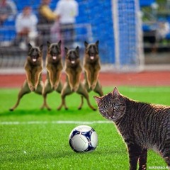 Любовь успенская