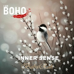 𝗜 𝗔𝗠 𝗕𝗢𝗛𝗢 - Inner Sense by BabaRah