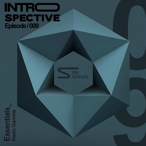 ⠂ TIN NARVAR - INTROSPECTIVΞ 09 (essentials x Radio Gamma)