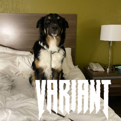 VARIANT DUBZ MINI MIX 04