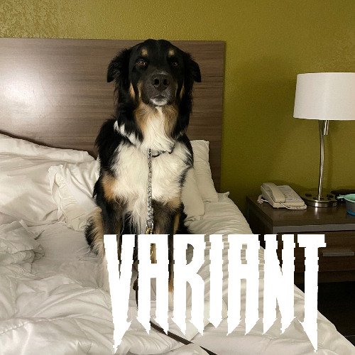 VARIANT DUBZ MINI MIX 04
