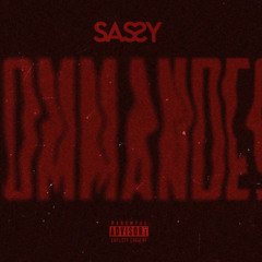 Sassy- COMMANDES SLOWED