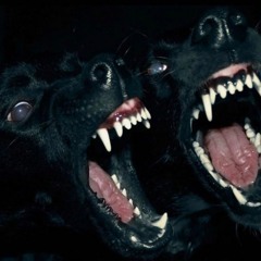 OffDaLeash (Prod. By ZacharyDaGreat)