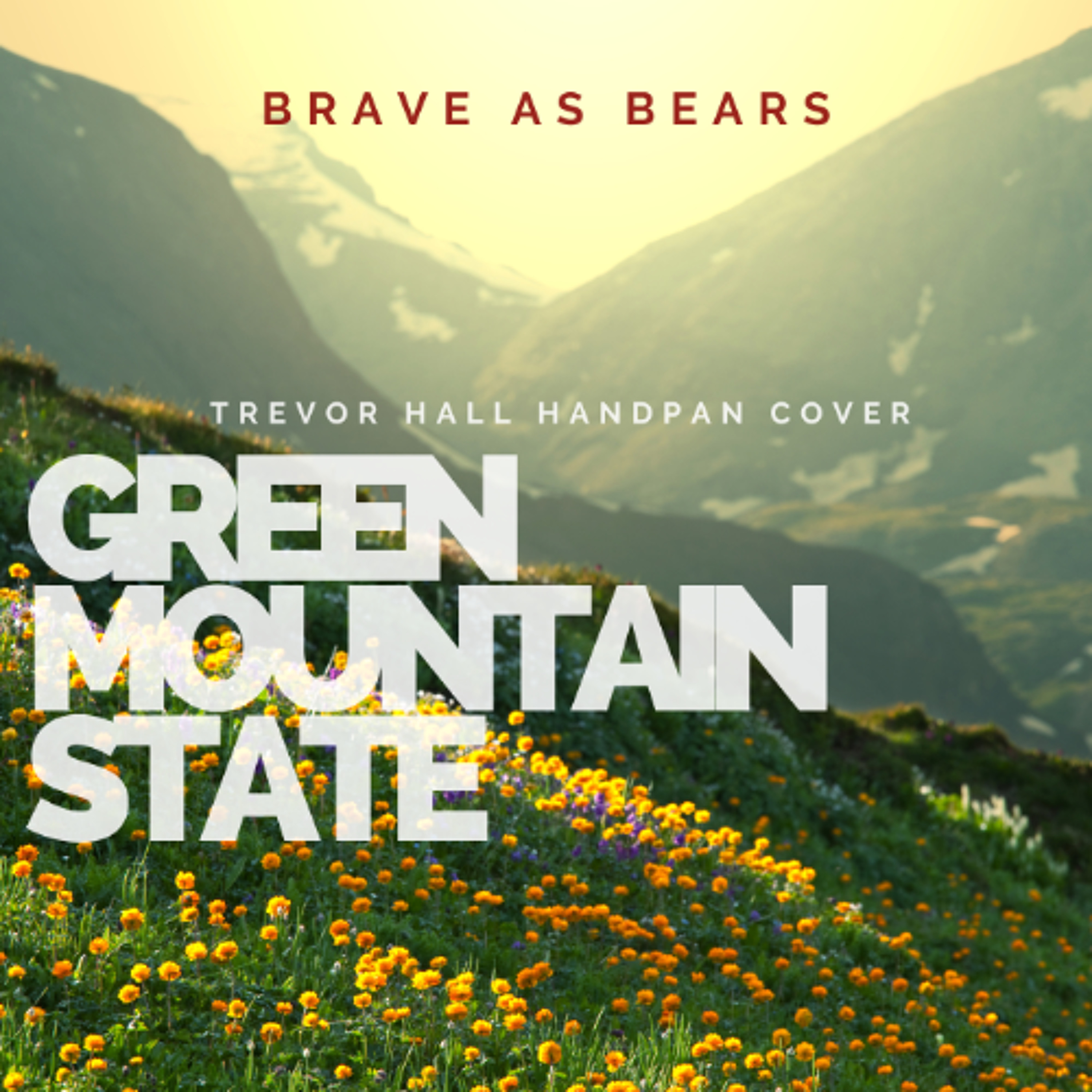 bravebear.