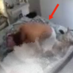 [Original] samahara lobaton video samahara lobaton edad samahara lobaton klug hijos