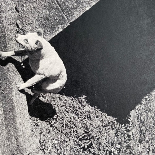 Concept In Practice: Lizzitsky's 'On the Verge of a Crisis' Ambient Mix