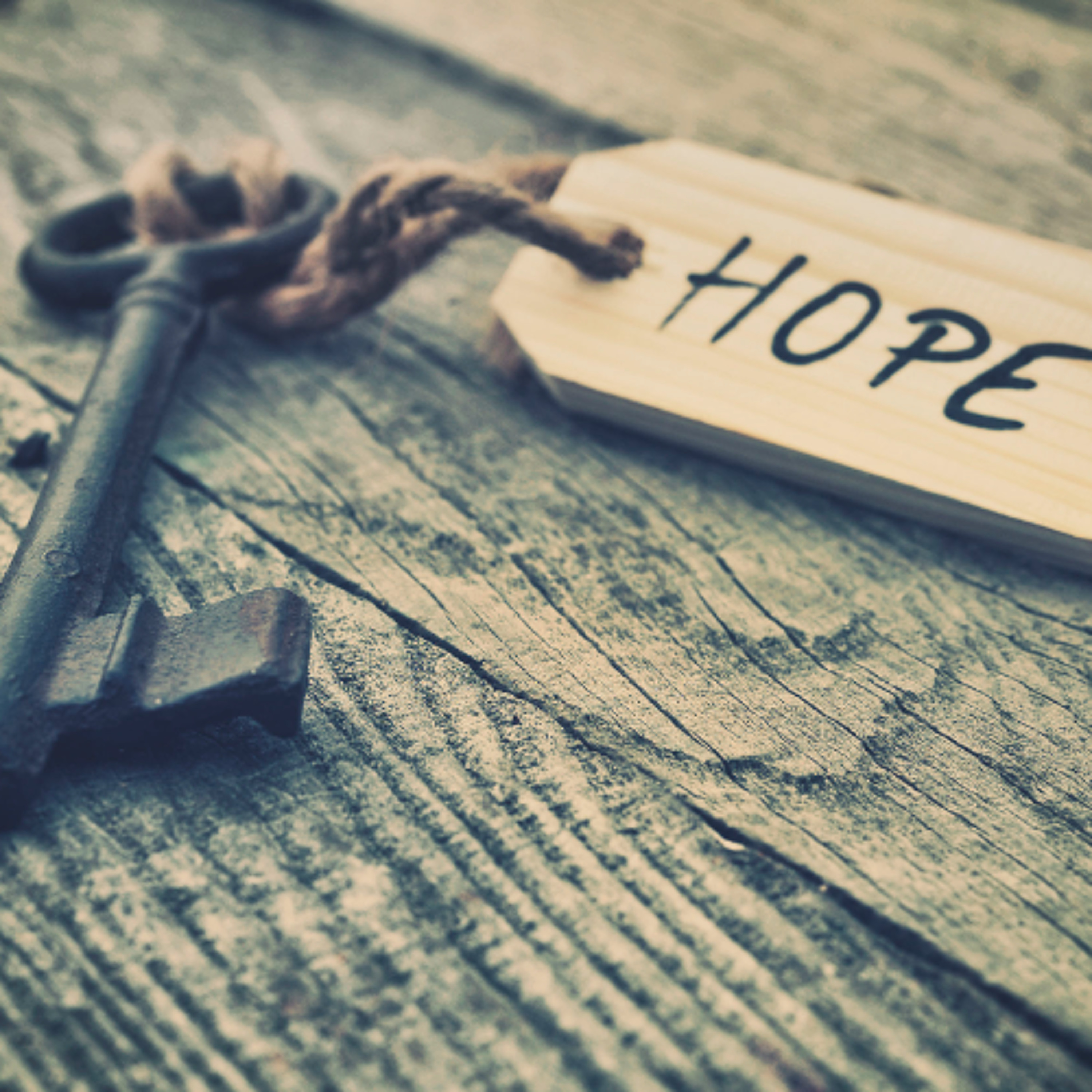 Is That Really In The Bible? 7-Never lose hope. By David Freeman episode artwork