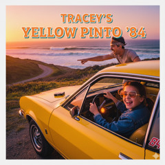 Traceys Yellow Pinto  84