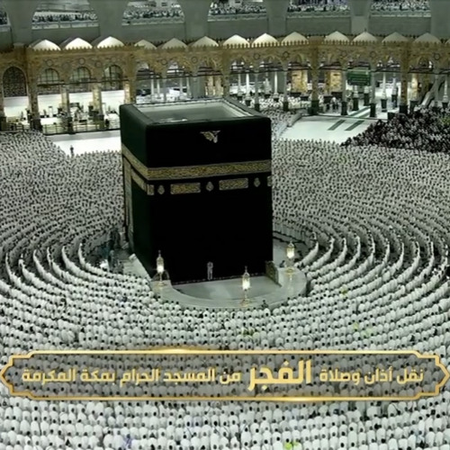 تحبير بديع من سورة فاطر للشيخ د.عبدالله عواد الجهني فجر الخميس ١٥-١١-١٤٤٥هـ