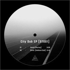 City Dub EP [DT001]