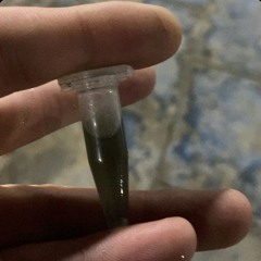 энд юу болоод байгаан