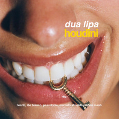FREE Dua Lipa, Leanh, Léo B, Pasodoble - Houdini (Marcelo Almeida Mashup)