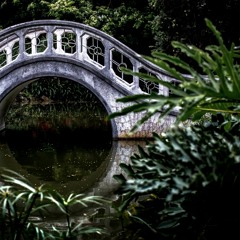 # 43 Lifting Pelvis on standing Feet