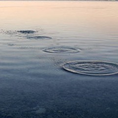Langsam aber stetig is Wuchenänd
