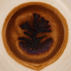 Myca$h - The Shape in the Coffe I.