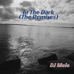 In The Dark (VIP Melodic Radio Mix)