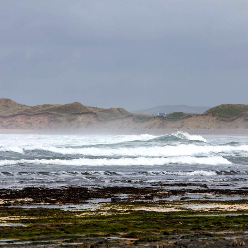 Stream Riptide Radio Documentary 12th Feb 2024 by Clare FM Listen