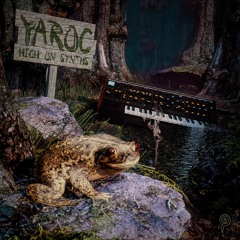 Yaroc - Brain Borrow