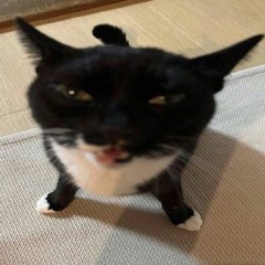 -Щавель снится спс кнчл на ее ресницах