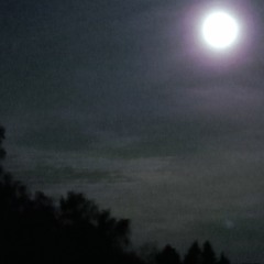 moonlight