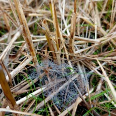 Yebsie: 21st November '25