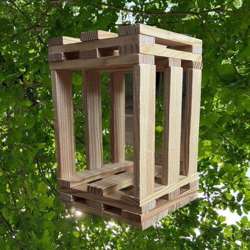 1er Mars (Saxifrages)