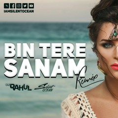 Bin Tere Sanam - Silent Ocean & Dj Rahul Remix - SO Exclusive