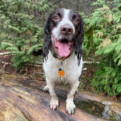 Thursday at 19-12.m4a