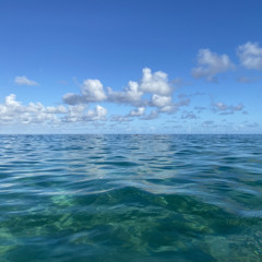 Don’t waste it away