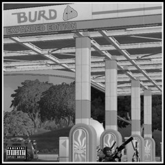 12:08 in burd (album version)