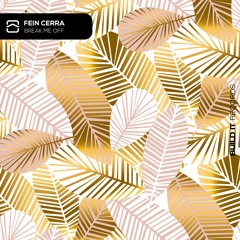 Fein Cerra - Break Me Off [Build It Records]