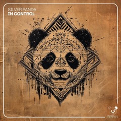 Silver Panda - In Control (Extended Mix) (Panda Lab Records)