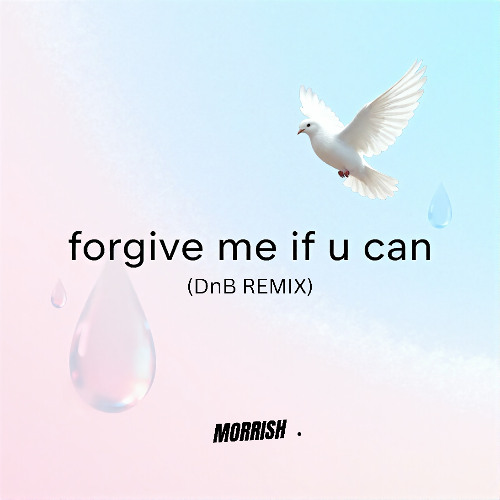 harmxny, prod. Rollie - forgive me if u can (DnB REMIX)
