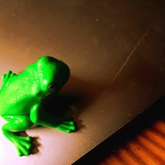 Frog (1/5)