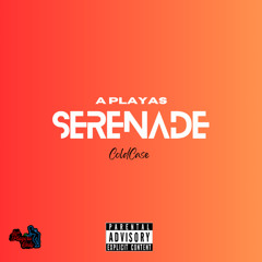A Playas Serenade -ColdCase