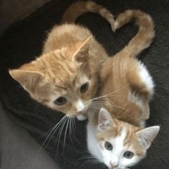 Keyluvr - Just Love Me (Ft. Jwls)