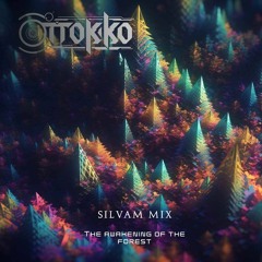 Silvam Mix - N°3