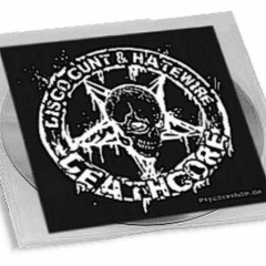 Disco Cunt & HateWire – Deathcore (2010) - Speedcore/Noise