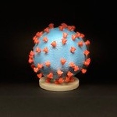 4. Čo nás učí koronavírus - 09:03:2020, 12.48