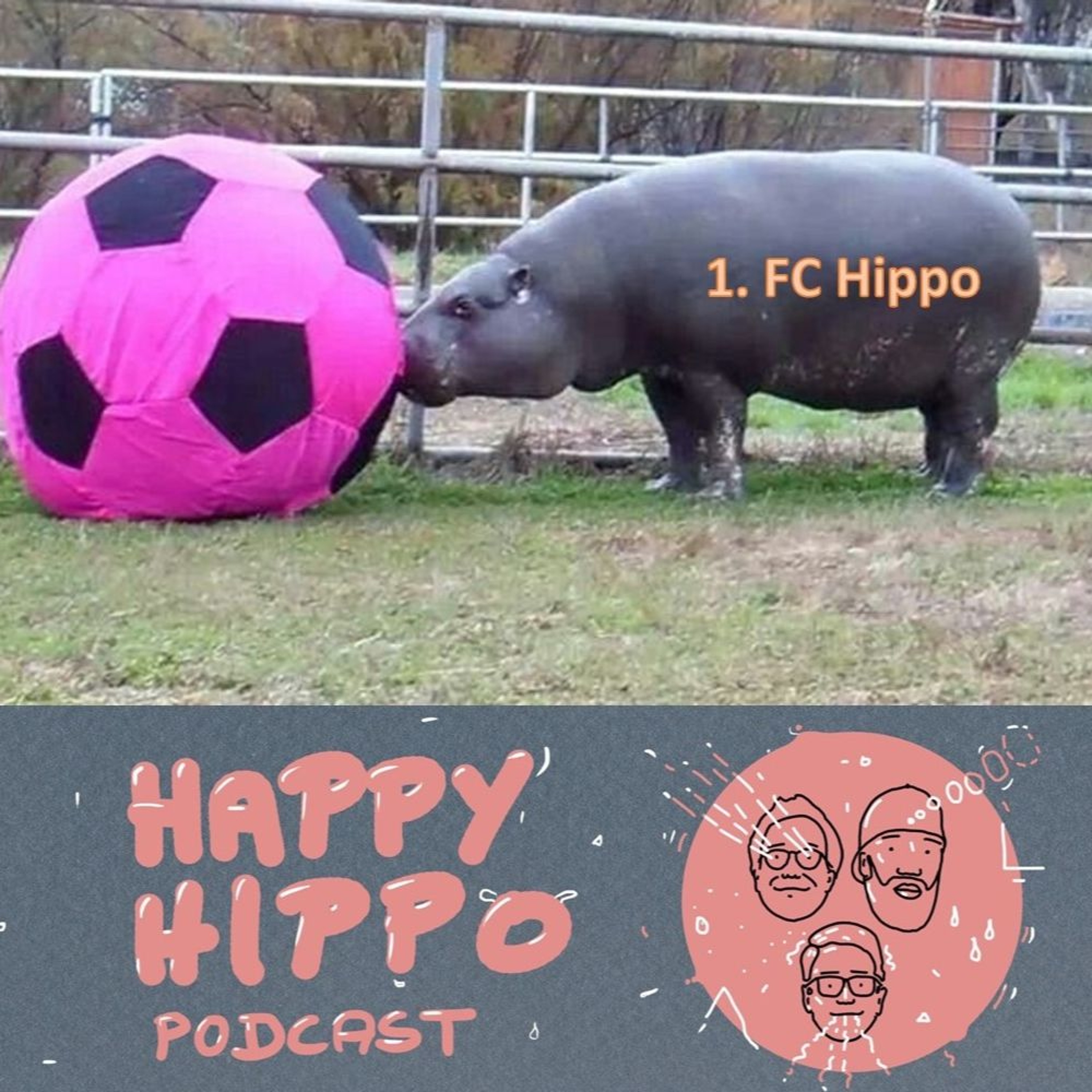 121 Happy Hippo Podcast - Krischtianu episode artwork