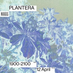 Noods Radio - Plantera - 12.04.24
